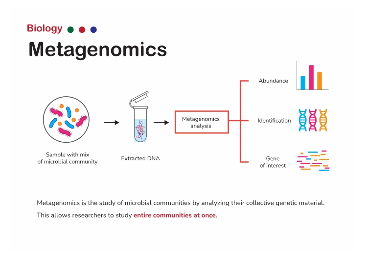 Diagram show concept of metagenomics Diagram show concept of metagenomics