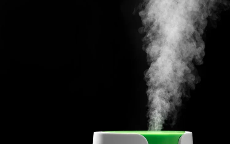 Water vapors from a humidifier.