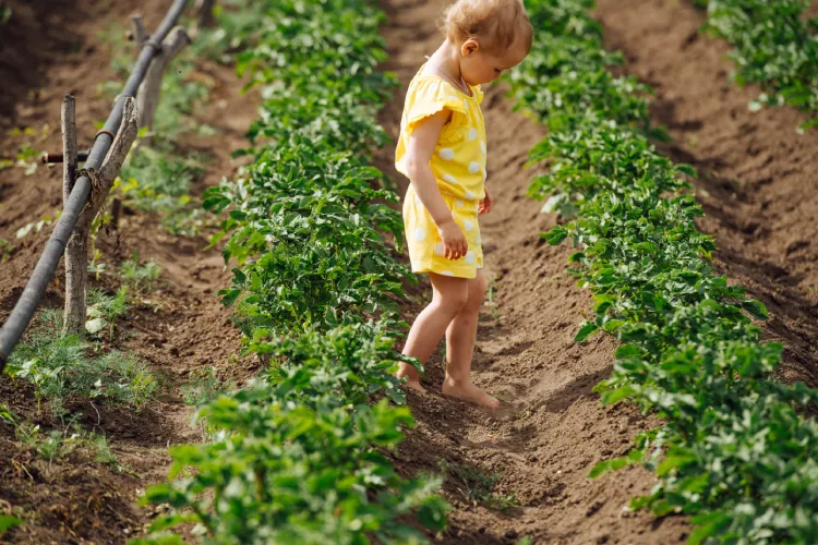 A girl walking barefoot in dirt A girl walking barefoot in dirt.