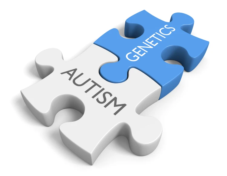 The link between Autism and genetics.