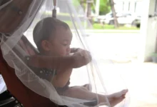 A baby protected from mosquito by net.