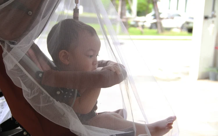 A baby protected from mosquito by net.
