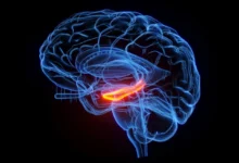 Memory Loss Reversal