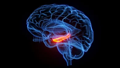Memory Loss Reversal
