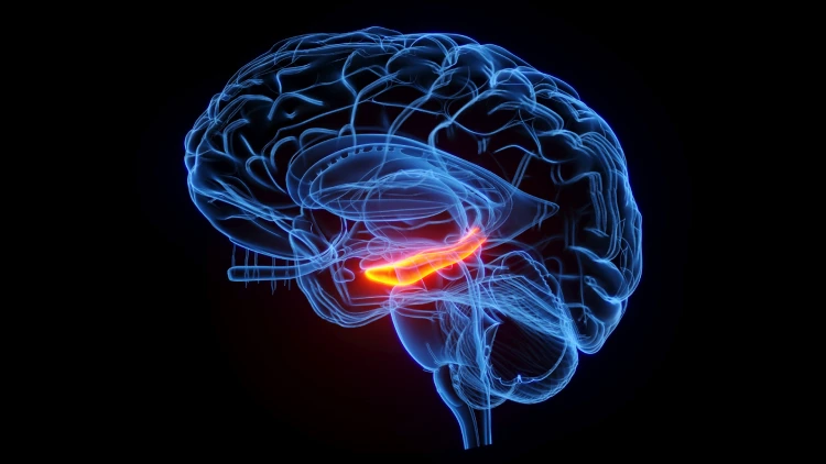 Memory Loss Reversal